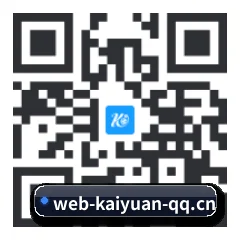 系统版 iOS 二维码